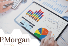 Breaking Barriers: J.P. Morgan’s Fusion Platform Opens New Doors for Investors Image of a person analyzing investment data on a computer.