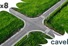 Public Sector at Digital Crossroads for Transformation Public Sector at Digital Crossroads