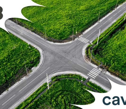 Public Sector at Digital Crossroads for Transformation Public Sector at Digital Crossroads