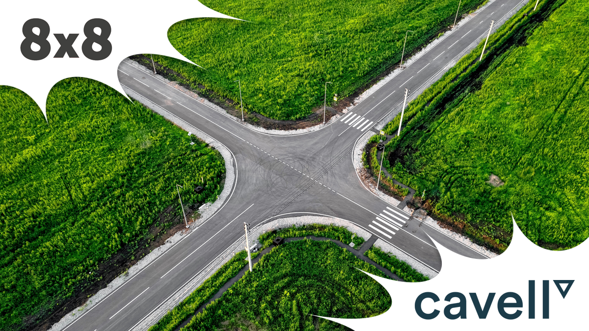 Public Sector at Digital Crossroads
